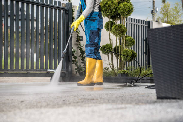 Best Soft Washing  in Virden, IL